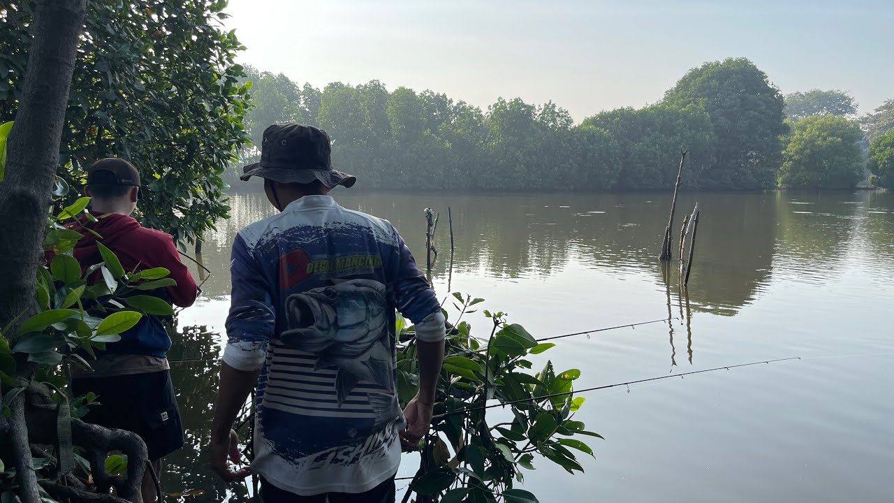 Mancing Di Sini Pakai Umpan Udang
