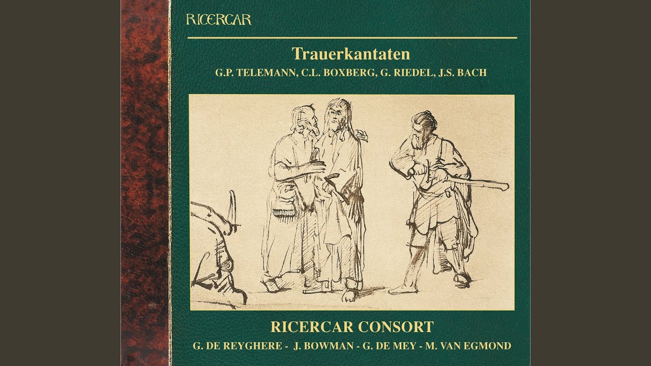 Du aber Daniel, gehe hin, TWV 4:17: Coro 