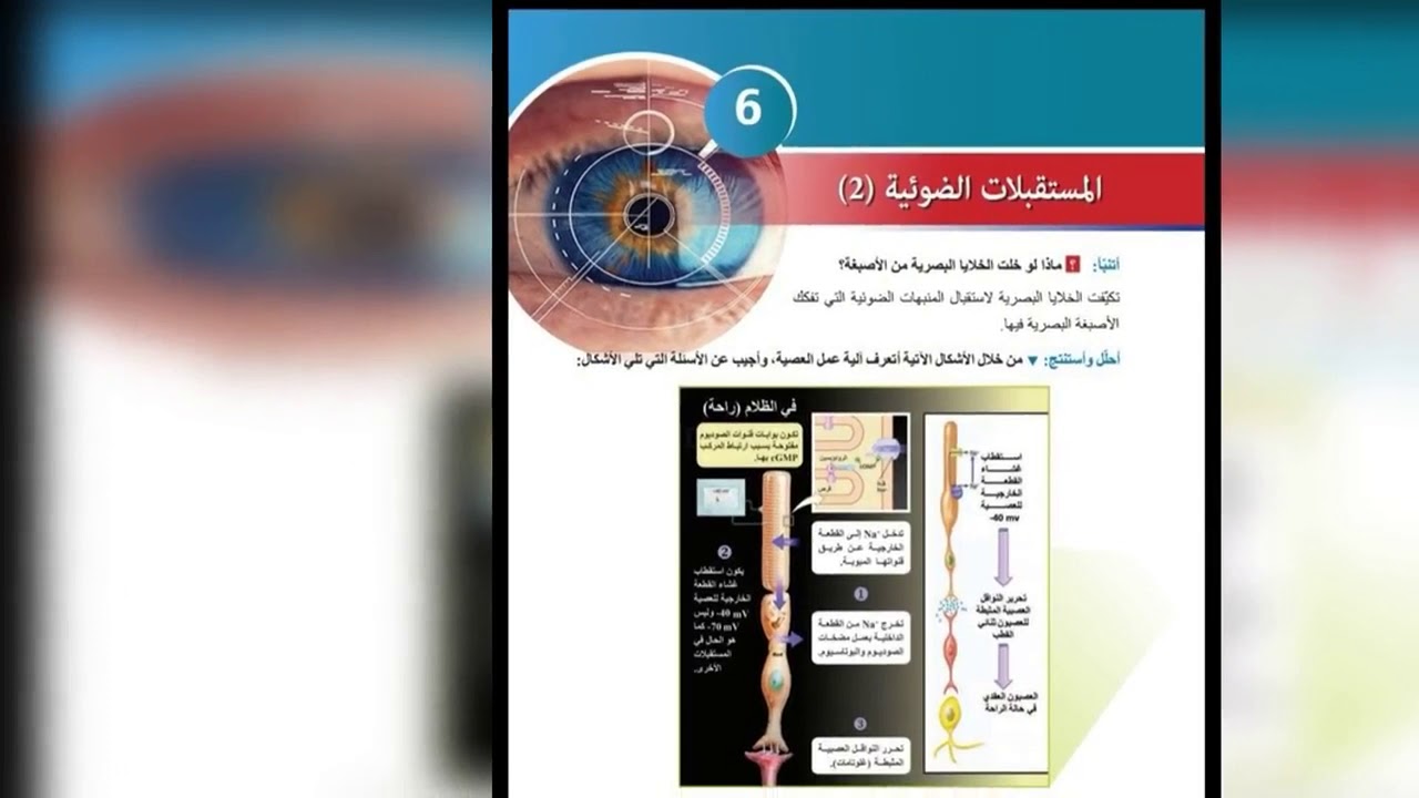 بكالوريا علوم المستقبلات الضوئية (2)🧠💯