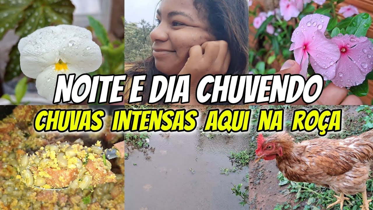 CHUVAS intensas aqui na ROÇA a casa INFILTROU  || VIDA NA ROÇA 