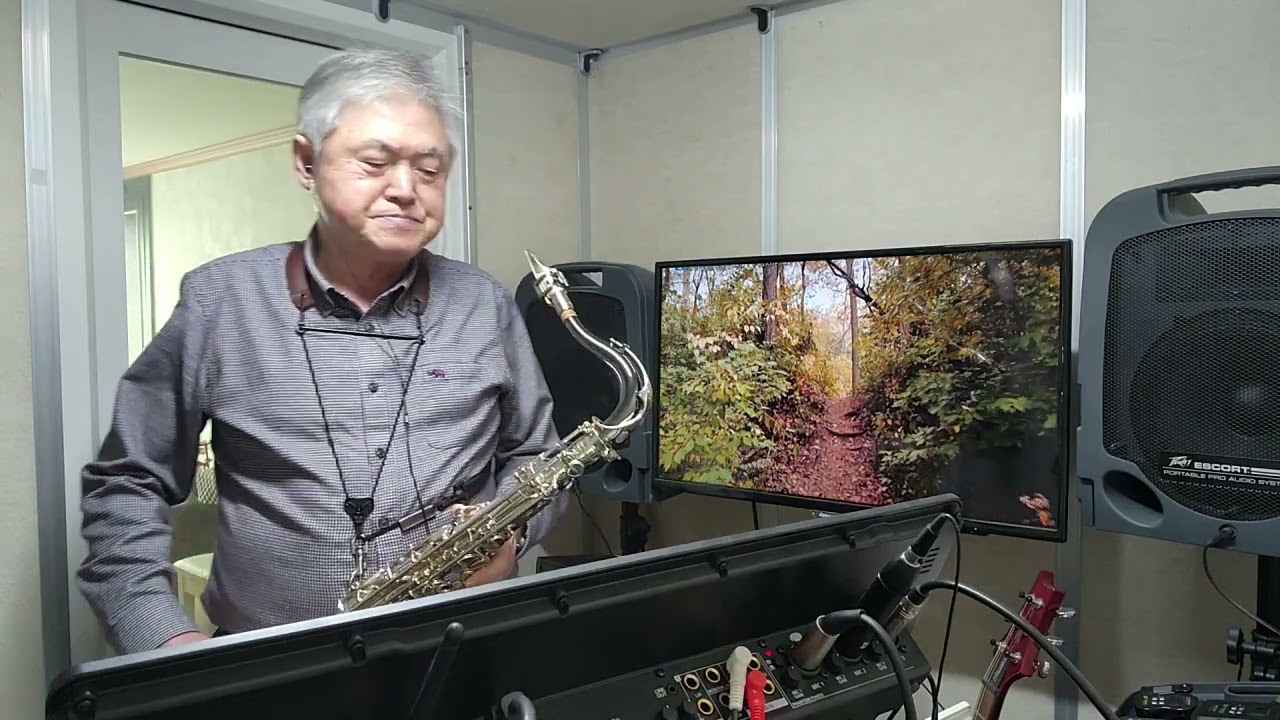 안개낀 장충단 공원 (테너 C)-배 호