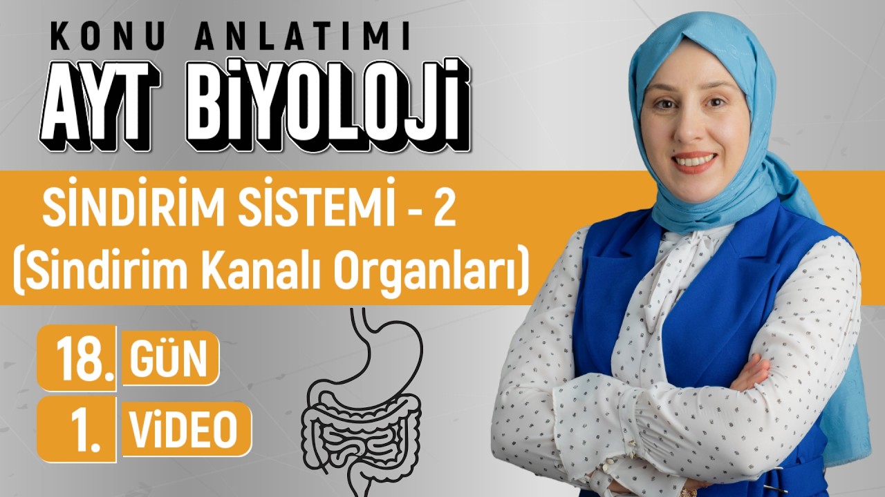 Sindirim Sistemi - 2 (Sindirim Kanalı Organları)- 18.Gün - 1.Video | 50 Günde AYT Biyoloji Kampı