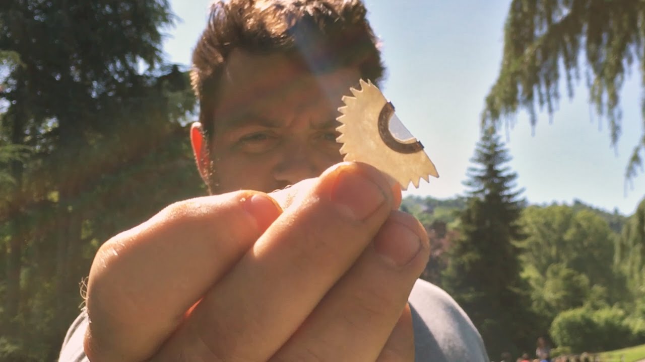 Fischietto x  Uccelli EXTRA