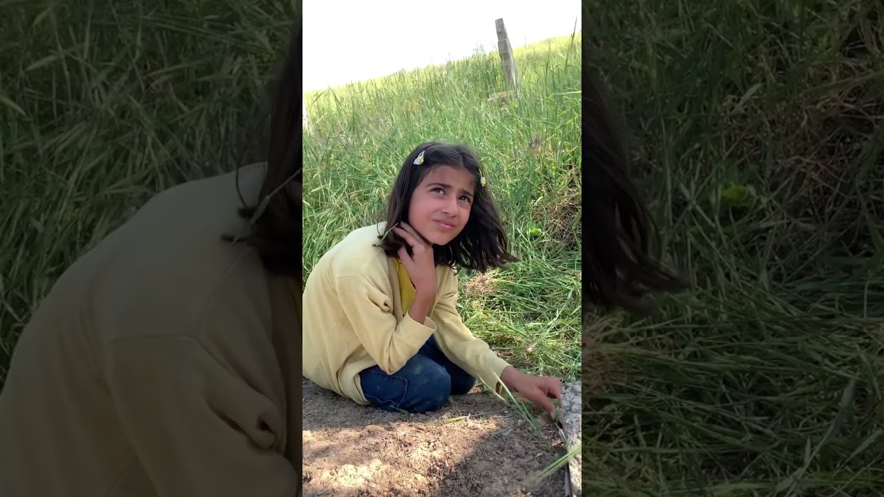 مام فه قي