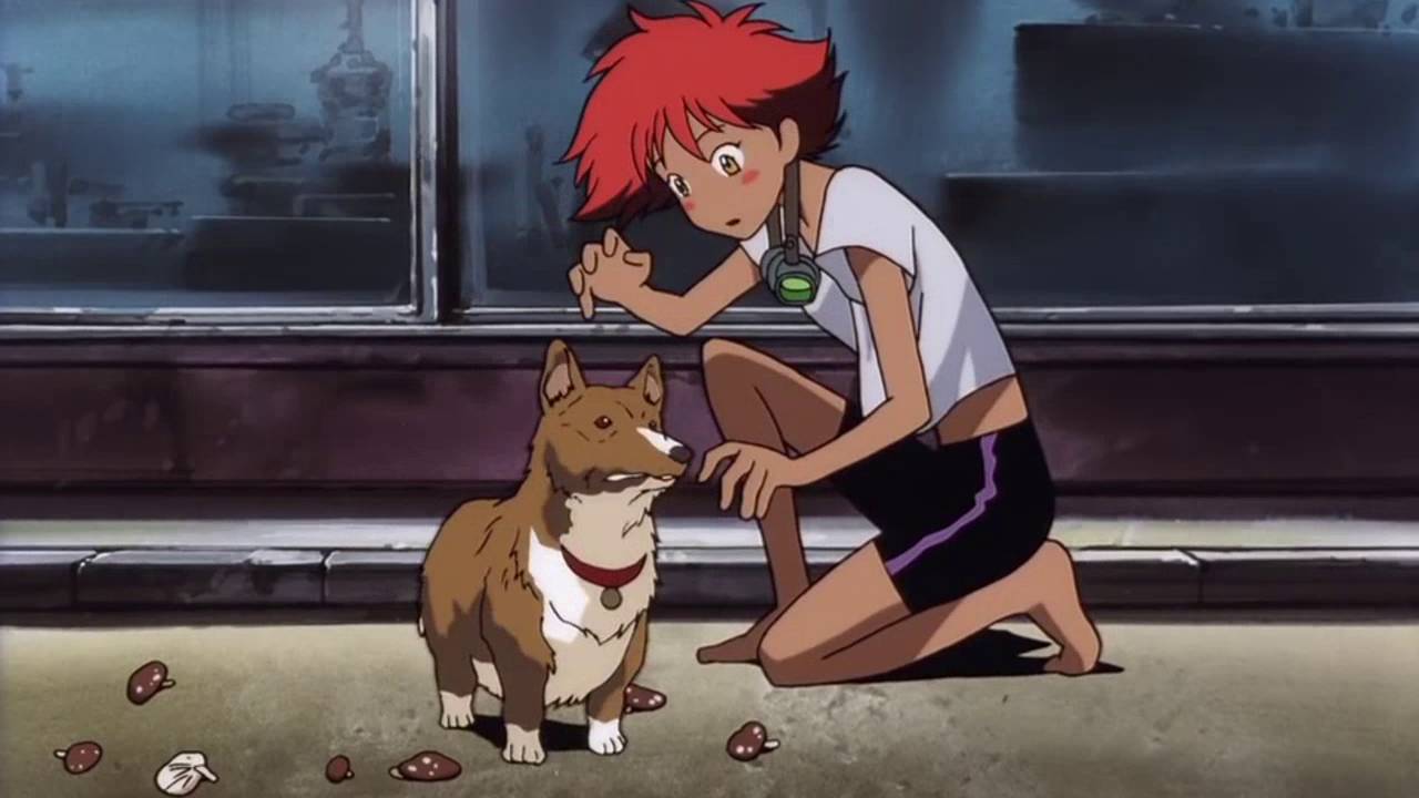 ein on shrooms