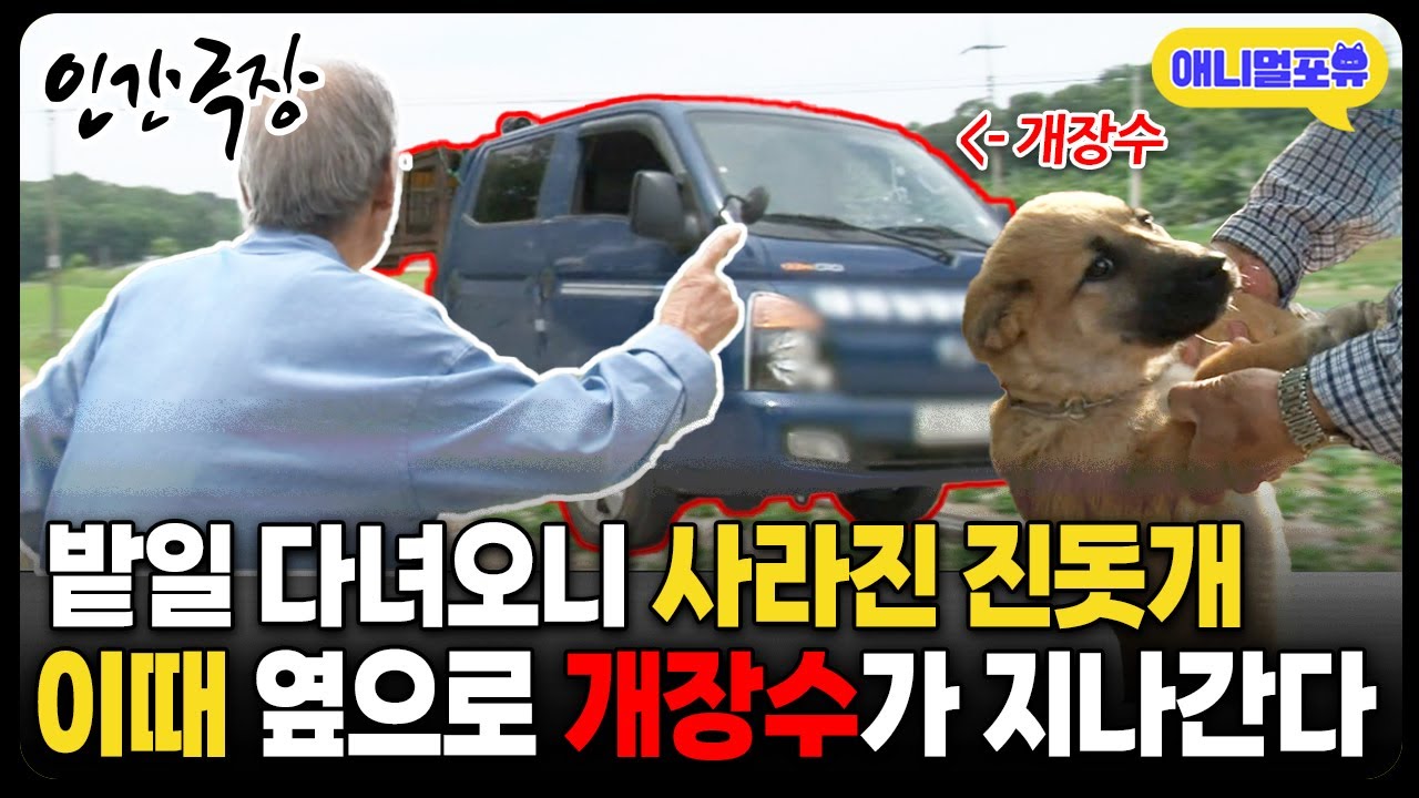 [풀버전] ㅋㅋㅋㅋ진짜 웃깁니다 꼭 보세요 I 사라진 강아지, 그 옆으로 개장수가 지나간다 I KBS 인간극장 - 60년 만에 다시 만난 첫사랑 2015 방송