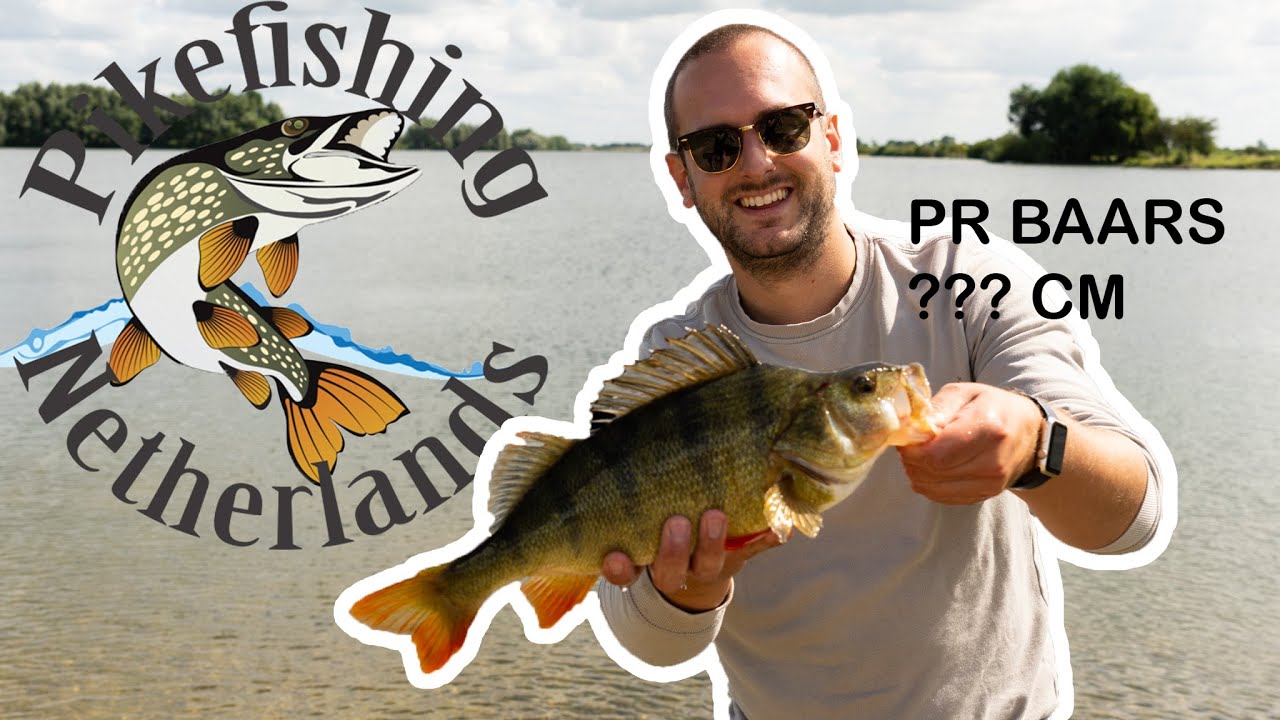 MEGA PR BAARS, SNOEKEN en hoe moet ik vissen op een RIVIERPLAS. Vlog Pikefishingnetherlands