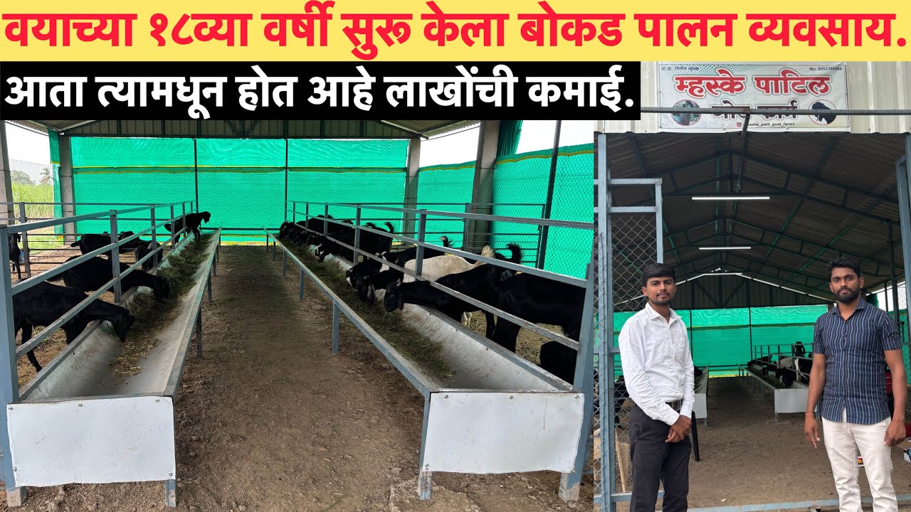 Started Goat Farming at age 18 — Now Earns Lakhs of ruppes Every Month from goat Farming & Trading!