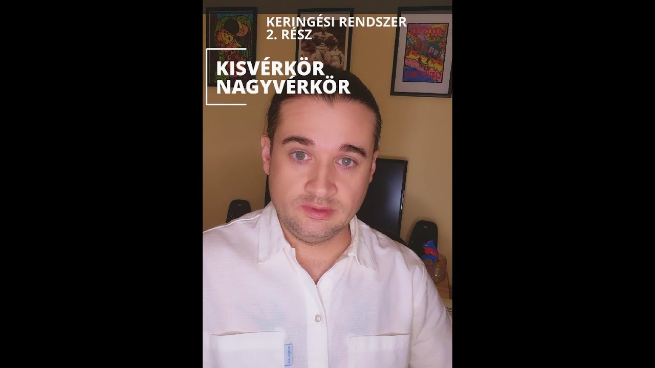 Keringési rendszer 2. rész- Kisvérkör - Nagyvérkör