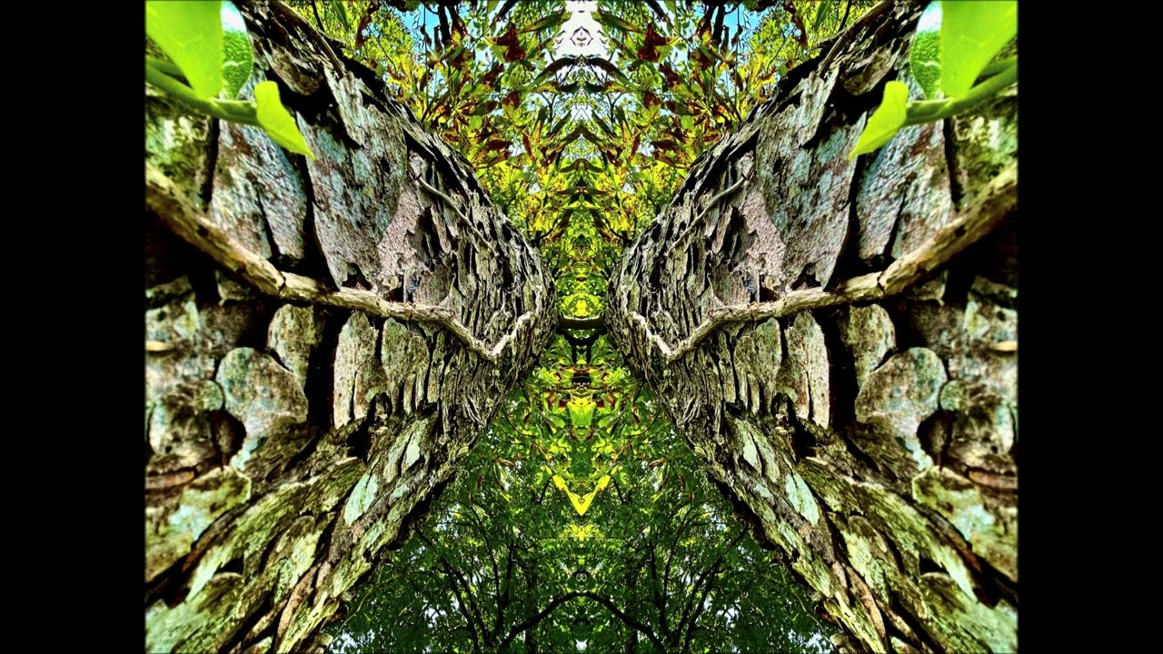 Goa Trance Memorys