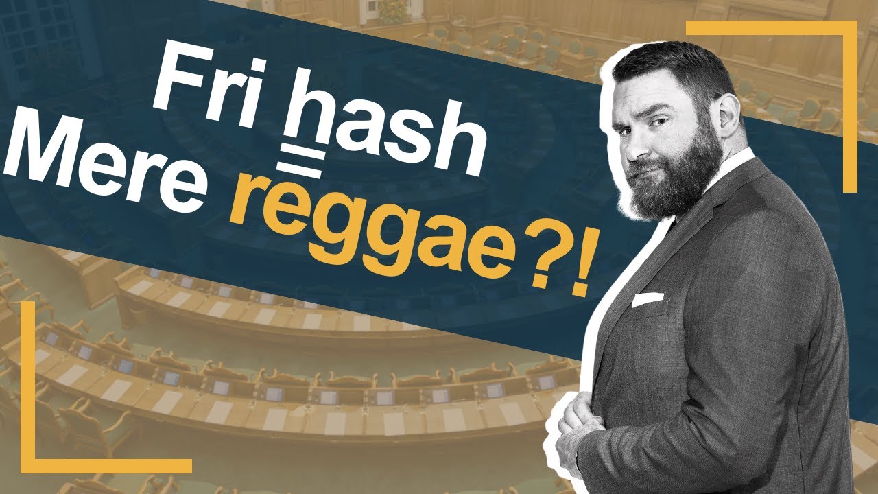 D&aring;rlige argumenter mod fri hash │ Steffen Larsen │ Folketinget