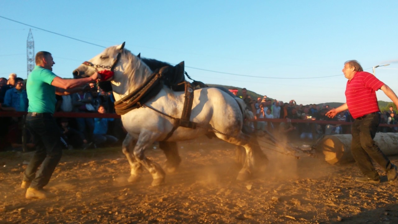 SAMPION TESKE ZIS STRAPARIJADA PODBRDO 2017