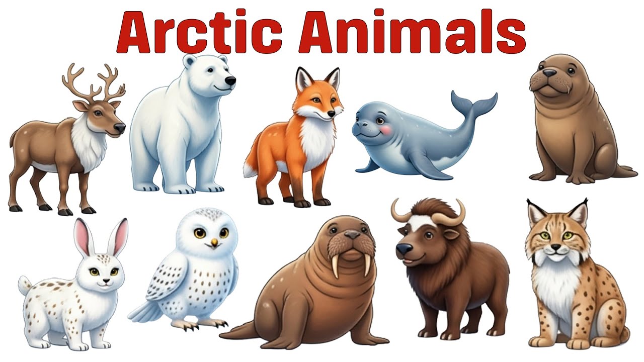 Arctic Animals for Kids ❄️ Learn 10 Amazing Polar Creatures in English #arcticanimals