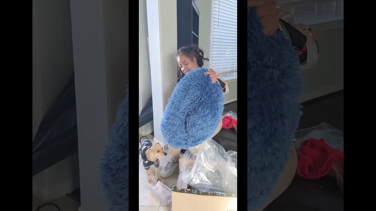 Puppy excited for Amazon Day