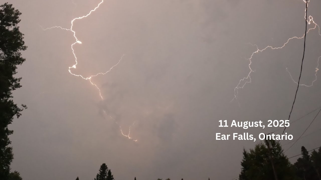 11 August TS 2