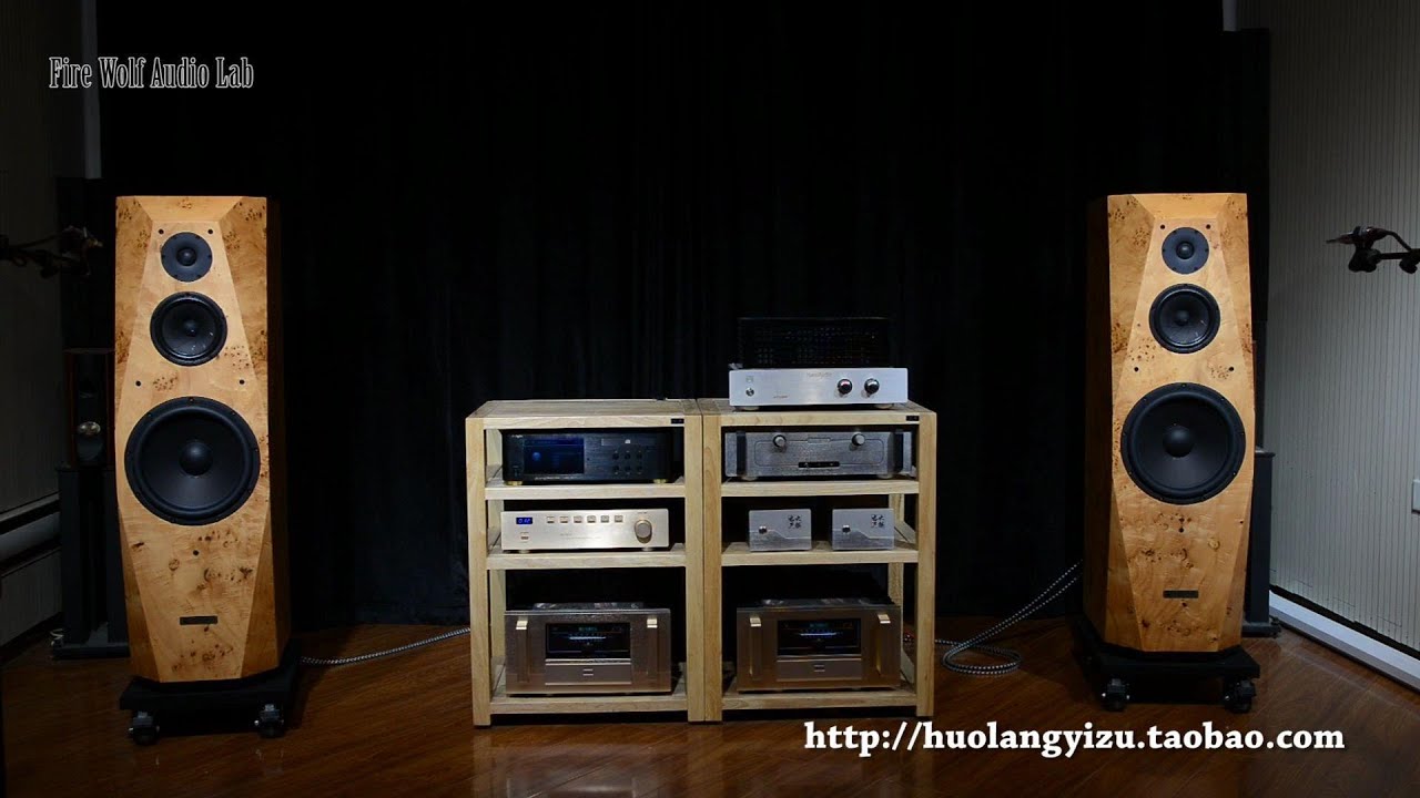 火狼电声 RealismSound RS1361.1 13寸3分频落地发烧音箱 32w8878 18m8631 7140