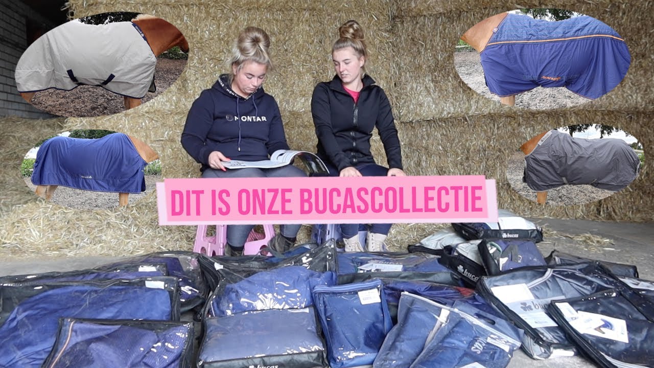 DEKENS: WELKE, WANNEER? | Haflingers King & Beau