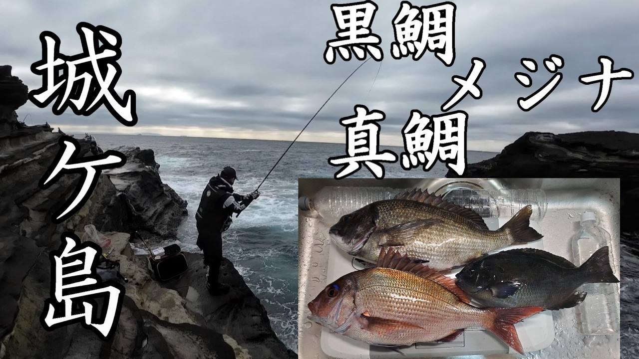 【2026年2月下旬城ケ島釣行】城ケ島随一の水深を誇るポイントで腹パンメジナを狙う！