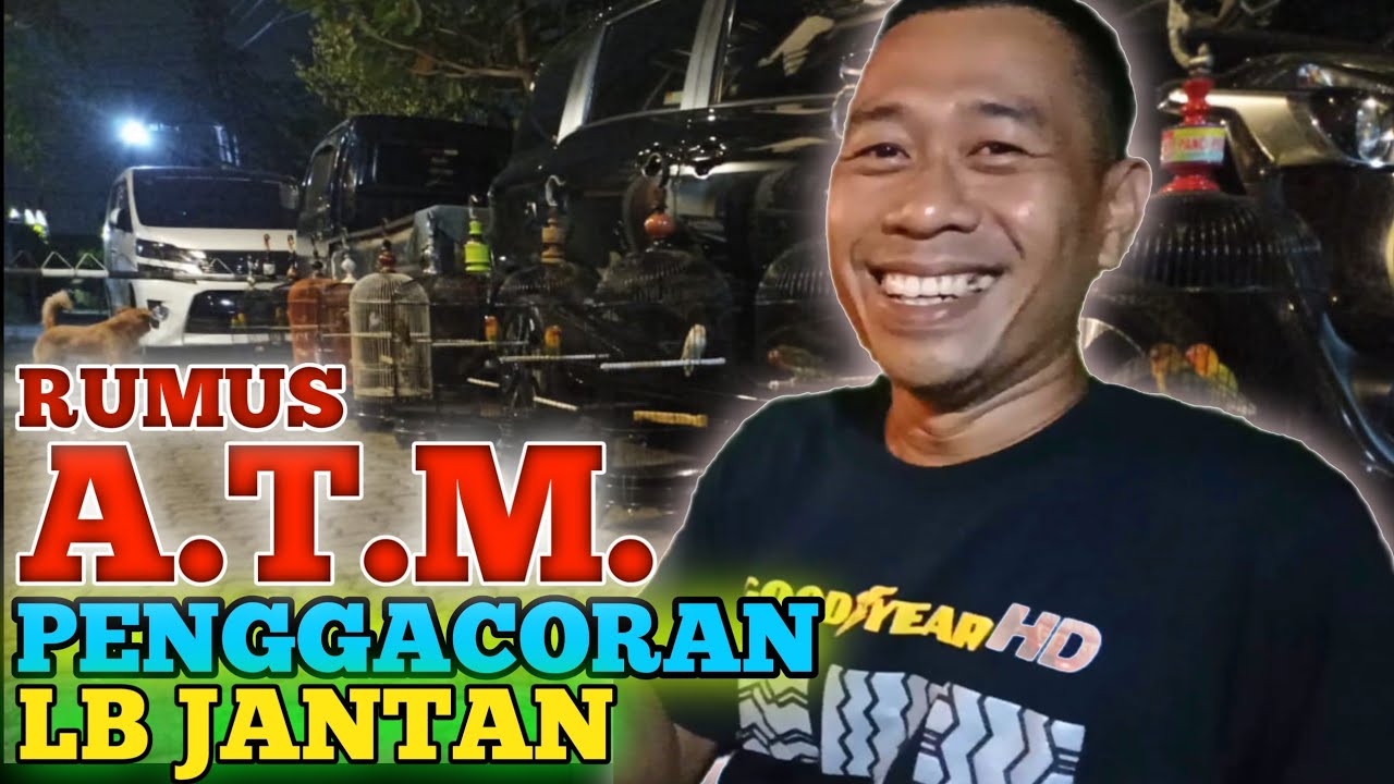 RUMUS ATM PENGGACORAN LOVEBIRD JANTAN
