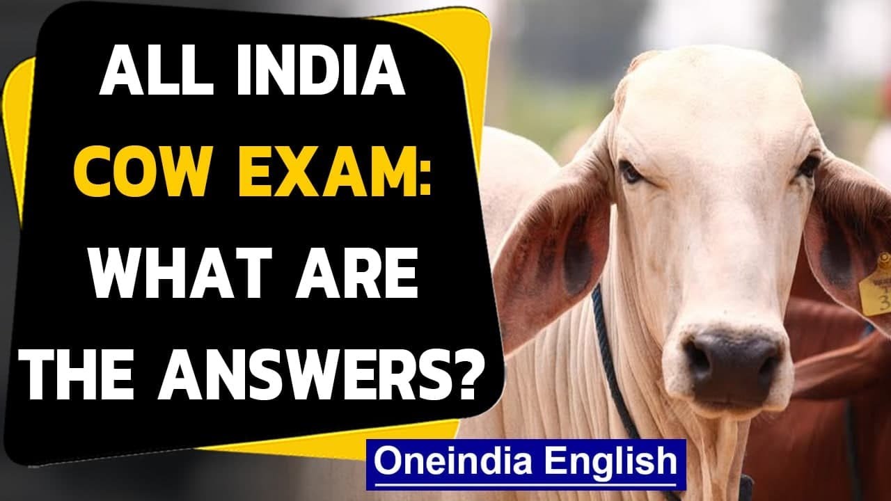 Cow exam? Are these 'scientific' claims about cows true? | Oneindia News