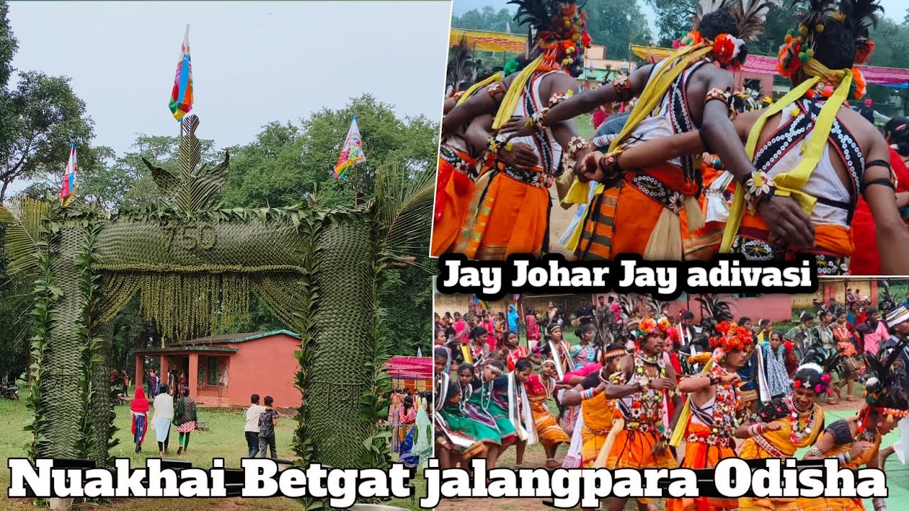 Nuakhai Betgat jalangpara 😍 Nabrangpur district//Gondwana adivasi fastival||Lsharisvlog//