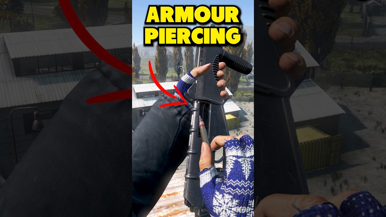 DayZ's Best Gun? ✅️