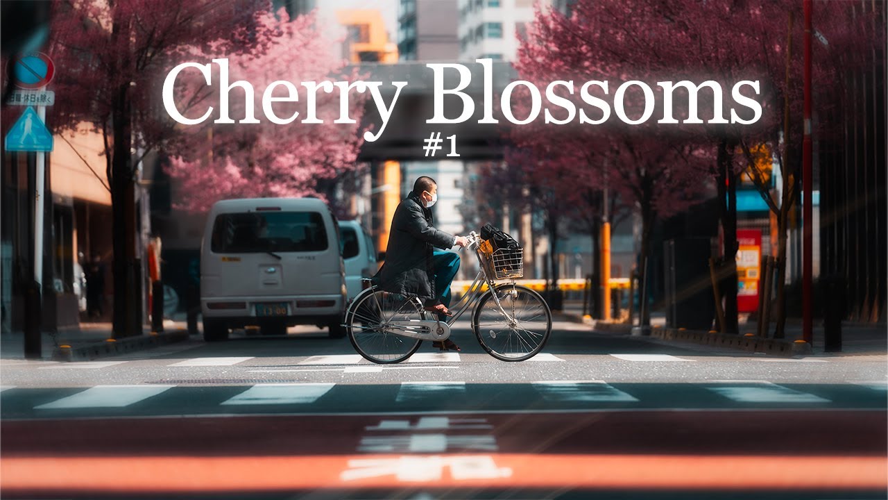 Cherry Blossom in Tokyo Japan - Photography POV