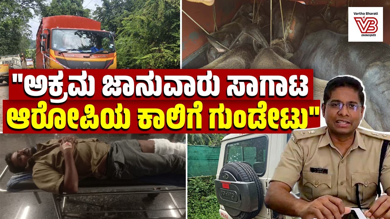 ಆರೋಪಿಗಳ ವಿರುದ್ಧ ಅಕ್ರಮ ಜಾನುವಾರು ಸಾಗಾಟ, ಕೊಲೆಯತ್ನ ಕೇಸ್ ದಾಖಲು : ಅರುಣ್ ಕೆ. | Puttur