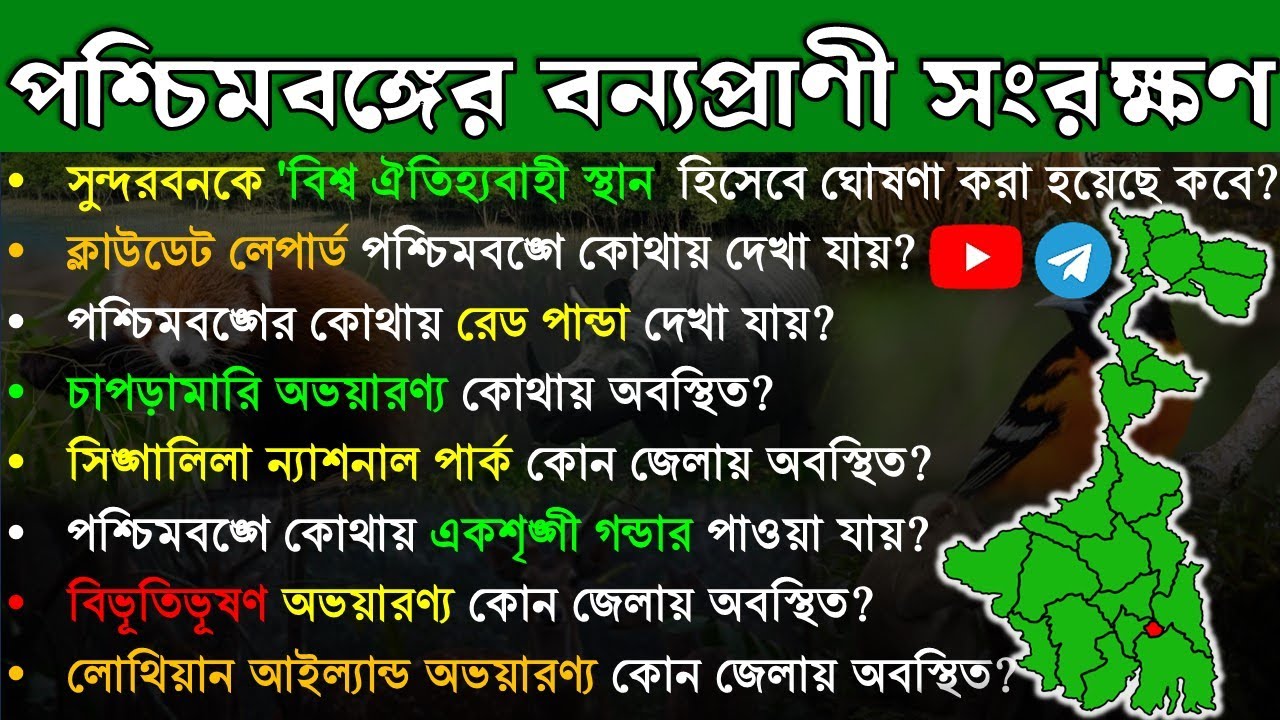 🔥পশ্চিমবঙ্গের বন্যপ্রাণী সংরক্ষণ | পশ্চিমবঙ্গের ভূগোল জিকে | West Bengal gk| west bengal geography