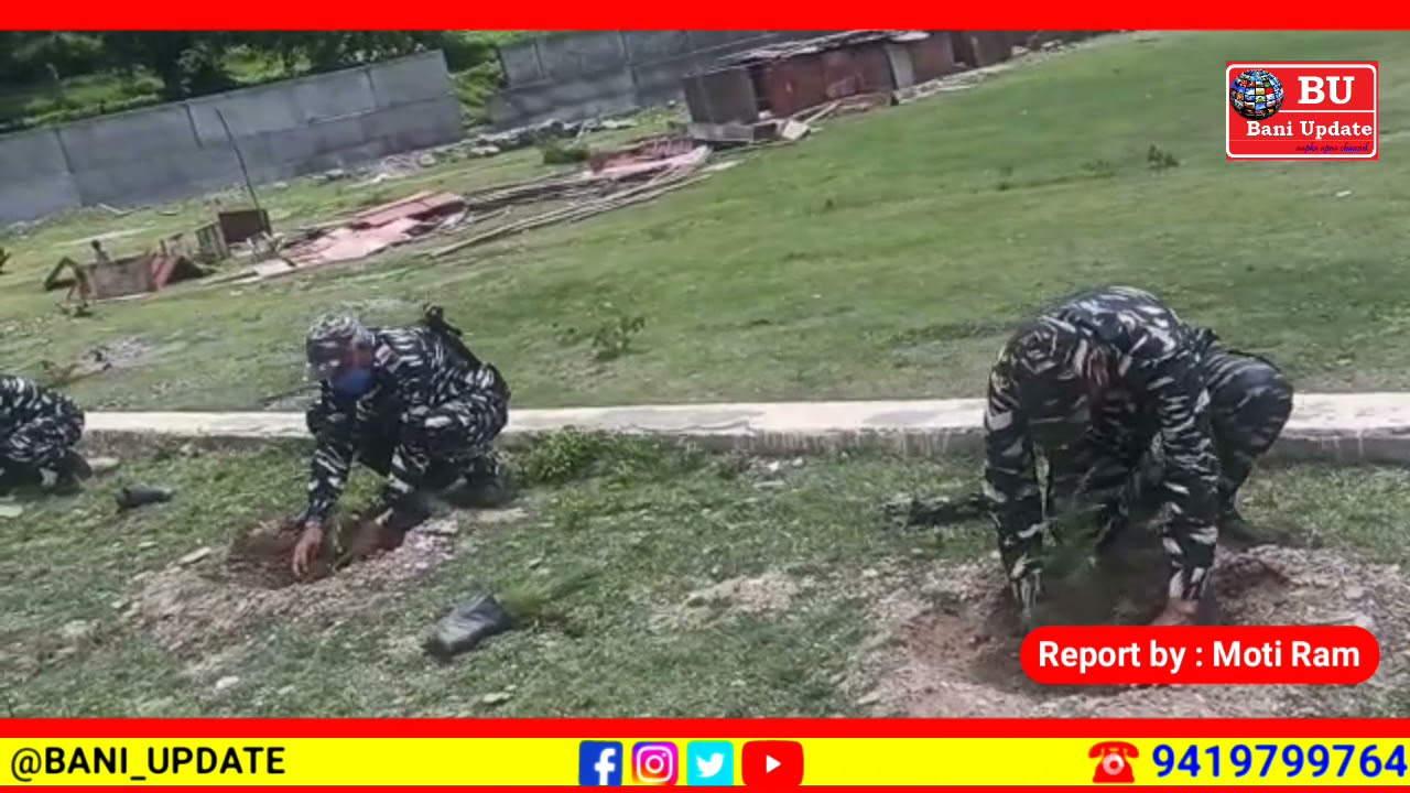 BANI : CRPF 121 Battalion Conducts Tree Plantation Drive at gdc College.