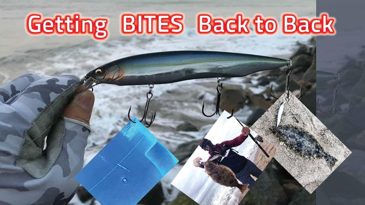 Halibut Surf Fishing lure / Megabass Kanata / getting bites back to back