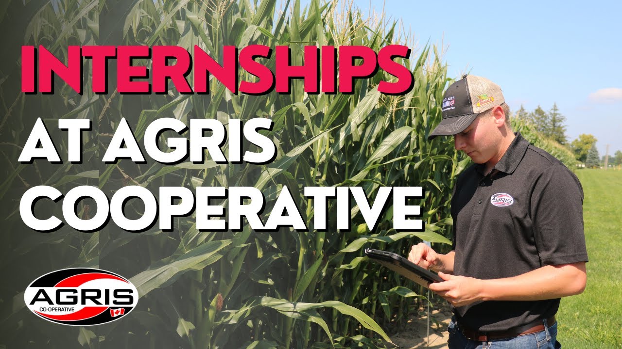 AGRIS Co-operative Internship Experience: Cultivating Growth and Learning