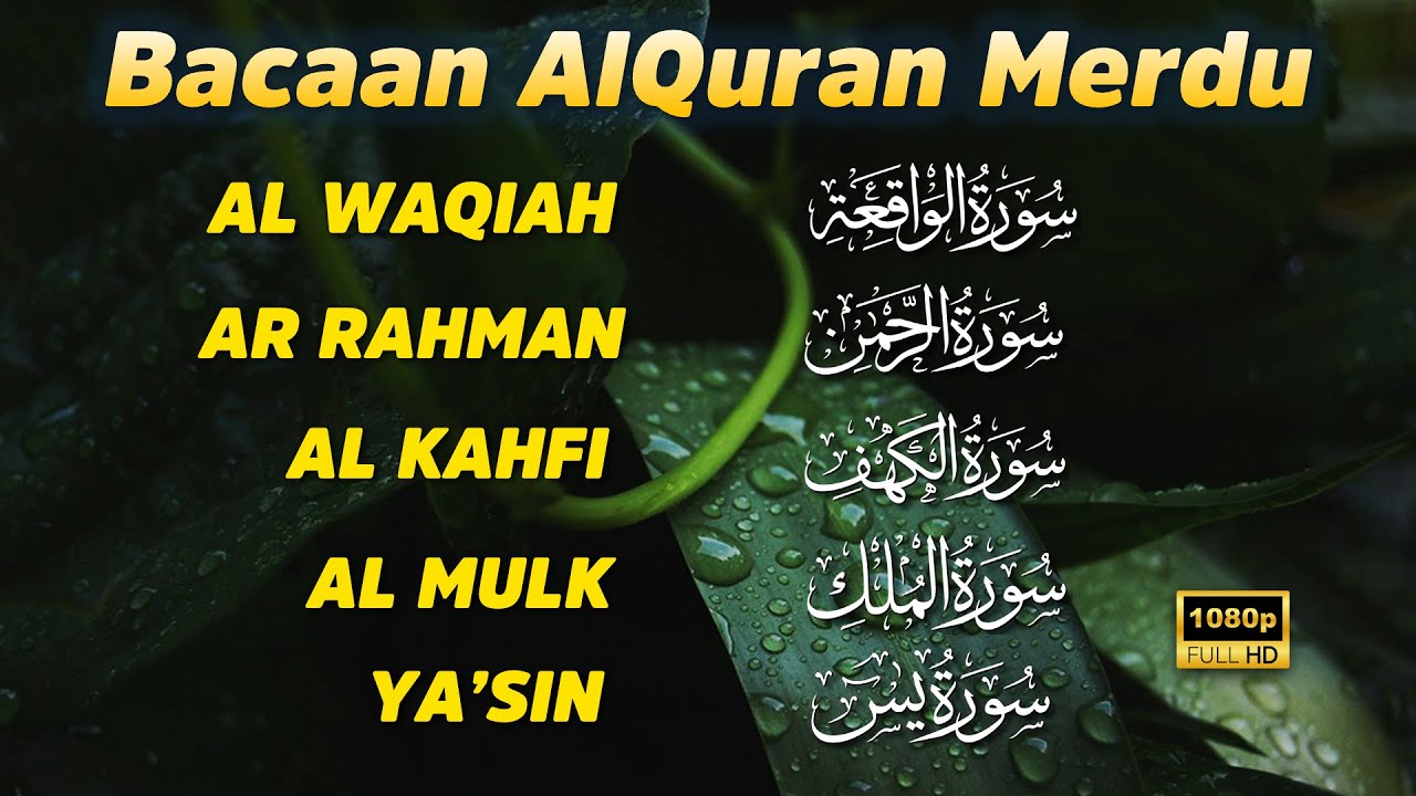 Suara Sangat Merdu | Surat Al Waqiah, Al Kahfi, Ar Rahman, Al Mulk, Yasin, Buat Pikiran Sejuk