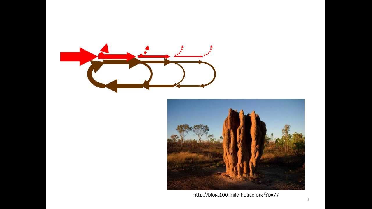 I 4 Physical structure   video a