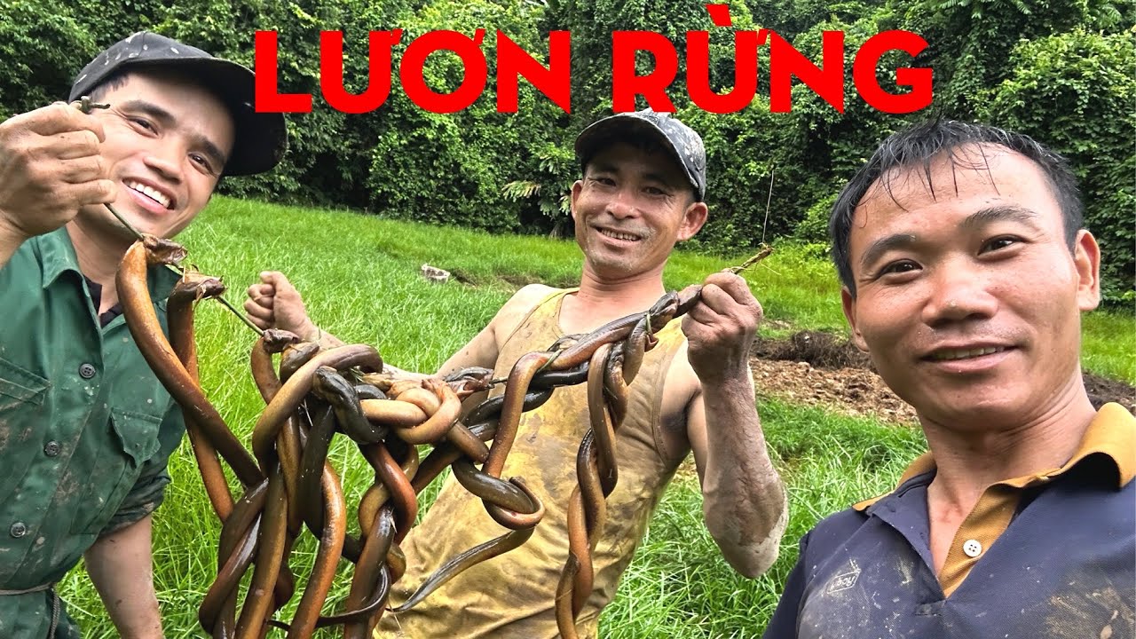 VŨNG LƯƠN HOANG SÓT LẠI TRONG RỪNG -TỰ THỢ RỪNG