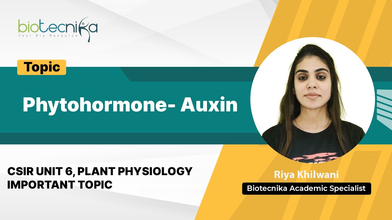 Auxin - All in One Video | Biosynthesis, Signaling, Regulation, Transport | CSIR NET UNIT 6