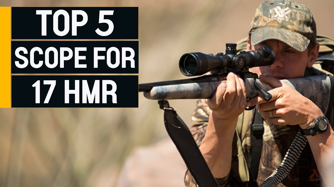 Top 5 Best Scope For 17 HMR 2023 [don&rsquo;t buy one before watching this]