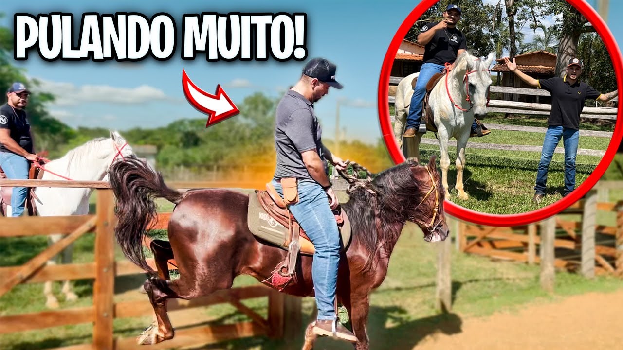 PREPARANDO TRÊS GARANHÕES BRAVOS para CAVALGADA *Pulou demais !