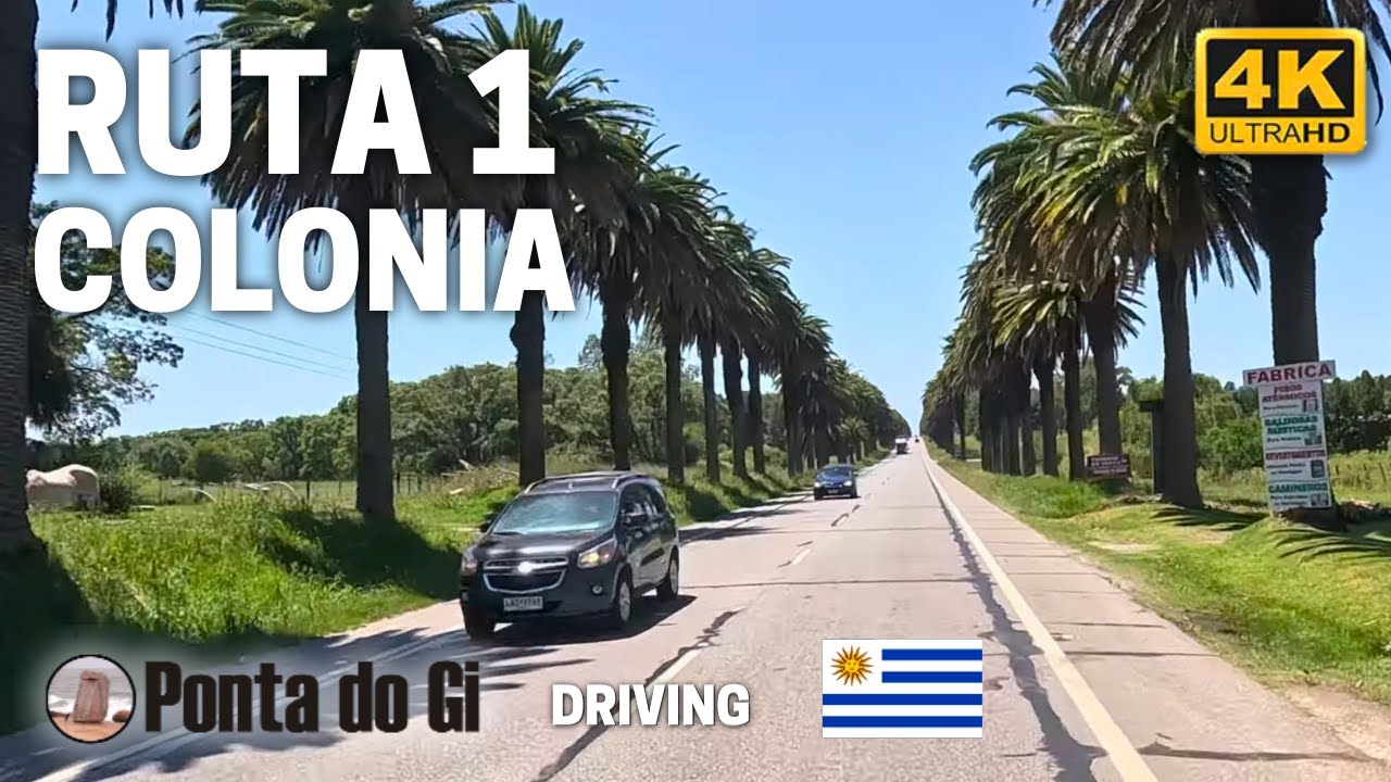 LA RUTA de LAS PALMERAS en 4k [UNA VERDADERA OBRA de ARTE] RUTA 1 COLONIA #driving TOUR 2025 URUGUAY