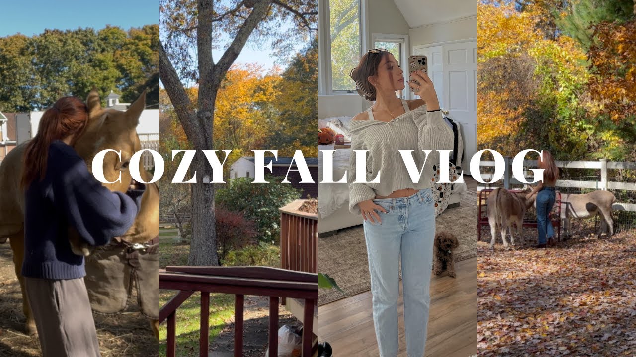 🍁 Warm + Cozy Fall Week: Seasonal Recipes, Slow Mornings, & Christmas Shopping