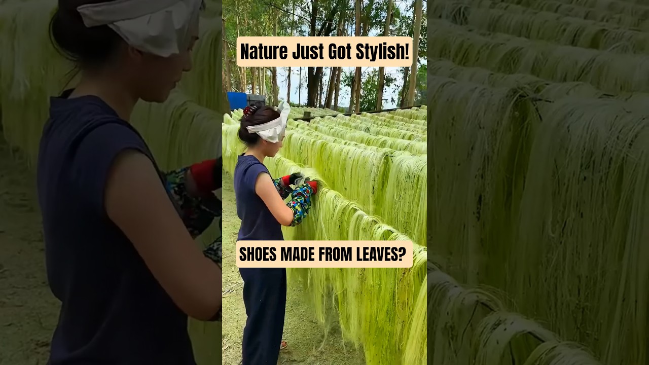Shoes Made From Leaves? #viralvideo #shortvideo #viral #viralshorts