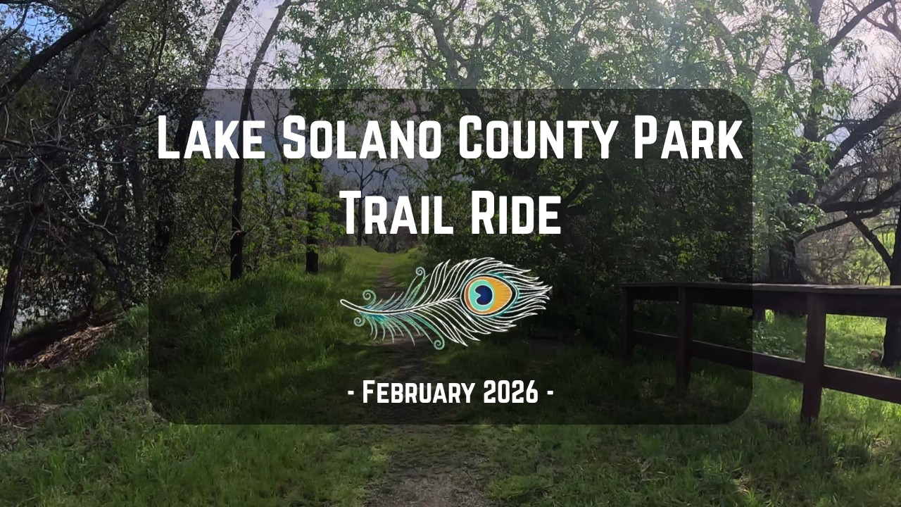 Exploring Lake Solano County Park - Shoreline Interpretive Trail, 🛶🍃
