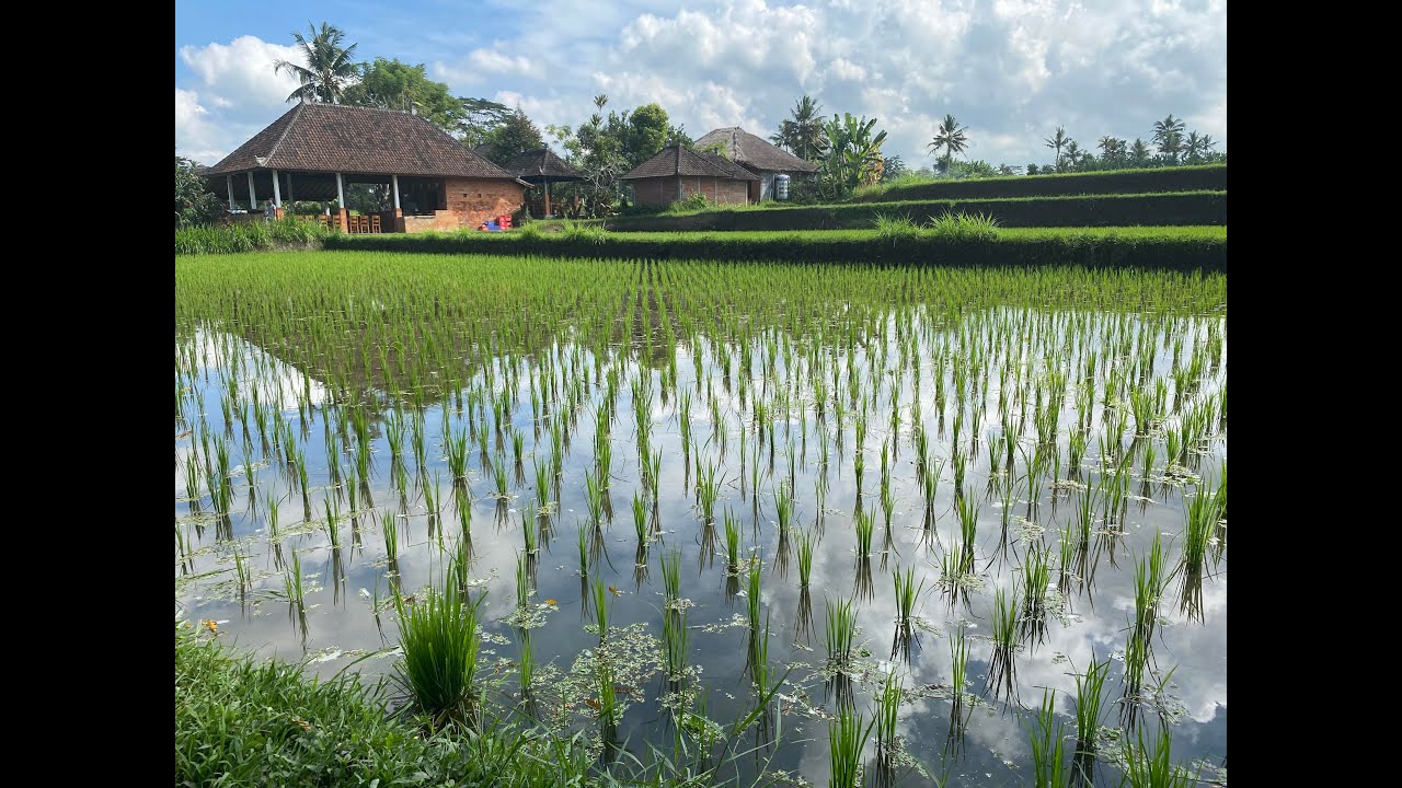 Bali 2022