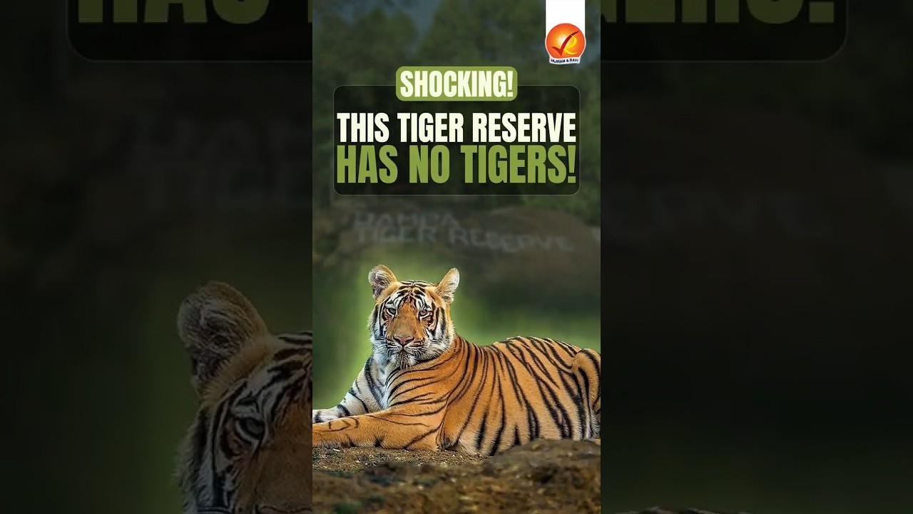 Shocking! This Tiger Reserve Has No Tigers!