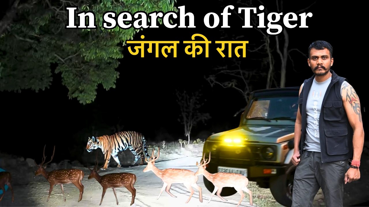 Jungle Camping | In Search Of Maneater Tiger | Jungle Ka Darr