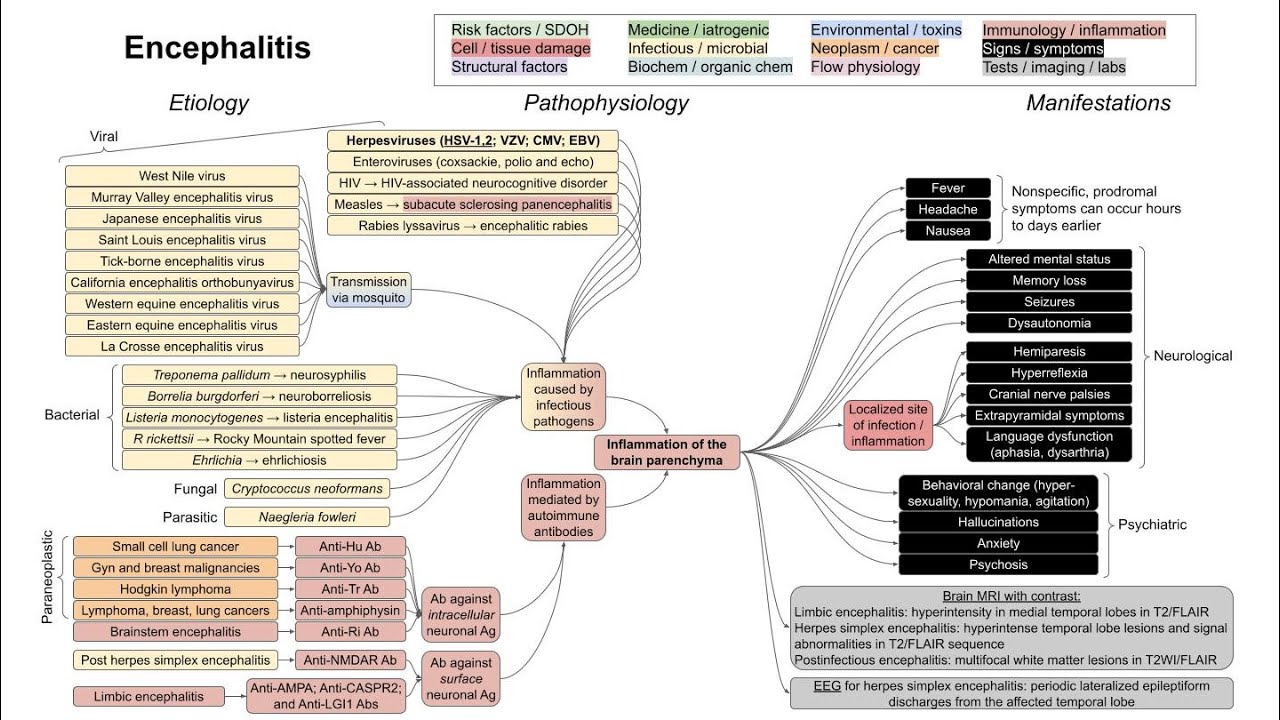 Encephalitis (mechanism of disease)