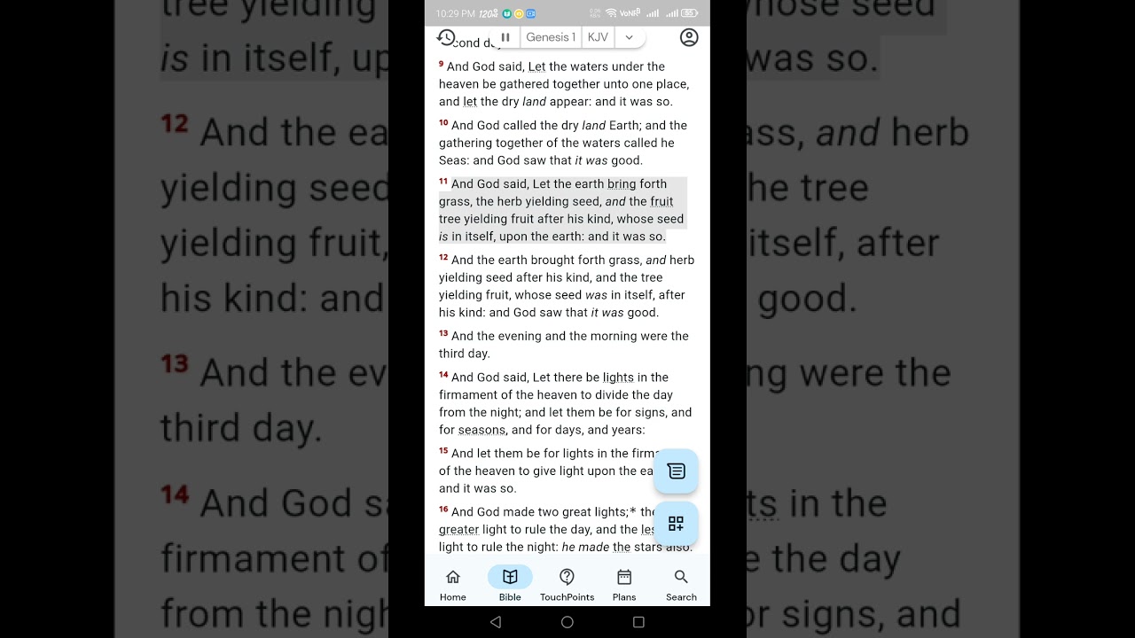 The foundation of Christian faith the Words of God.