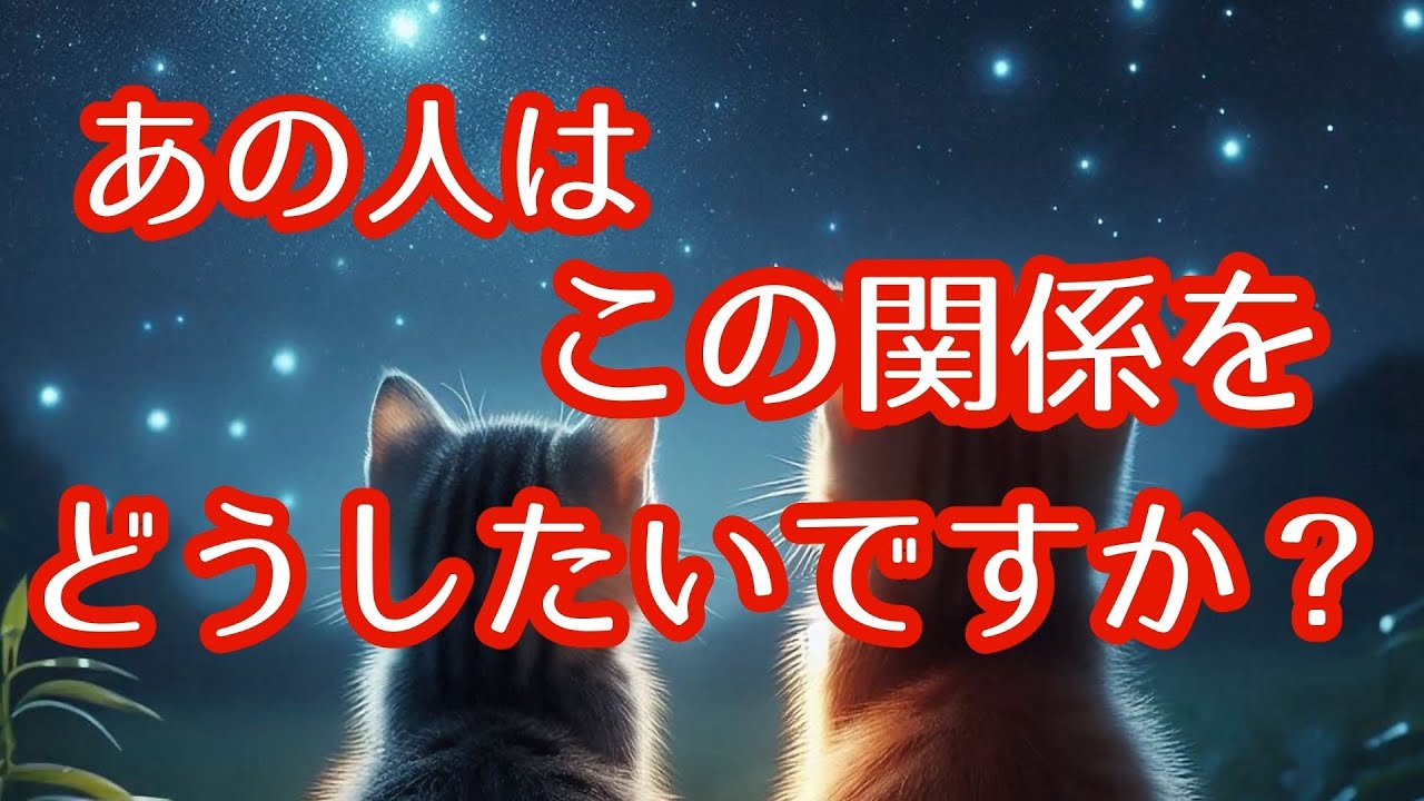 【アゲ鑑定一切ナシ‼️】あの人はこの関係をどうしたいですか？🥺💓🥺