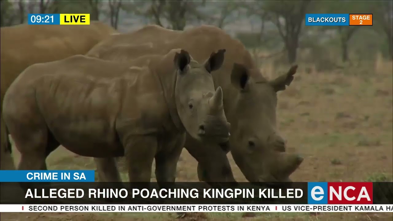 Alleged rhino poaching kingpin killed