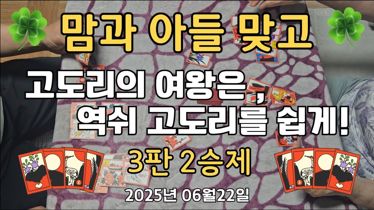 20250622 🎴🍀 고도리의 여왕은, 고도리를 쉽게! 맘앤썬 화투(고스톱) 3판2승🍀🎴 #치매예방 #힐링채널 #웃음꽃취미생활 #화투 #고스톱 #소확행